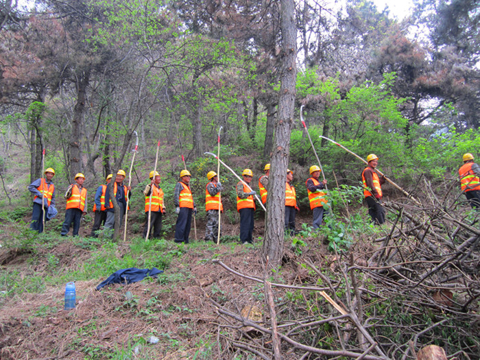 �����ֳ���չɭ�ָ�������