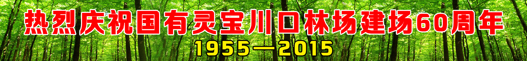 ����ͼƬ��