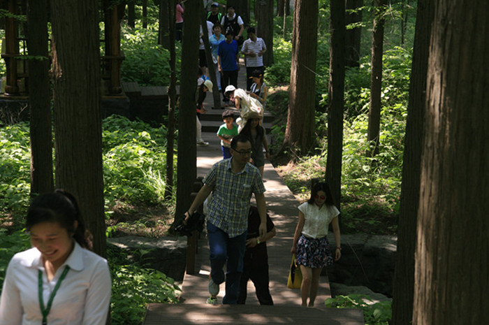 “燕子山号”高铁旅游专列活动