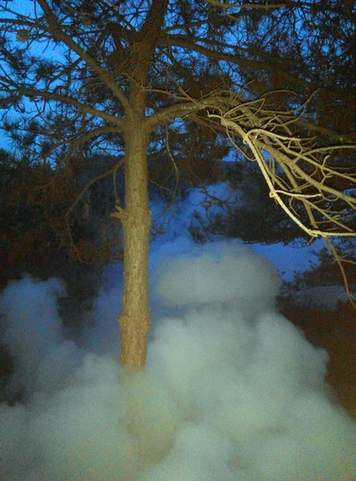 川口林场防治森林病虫害