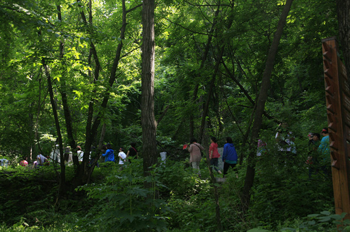 &ldquo;����ɽ��&rdquo;��������ר�л