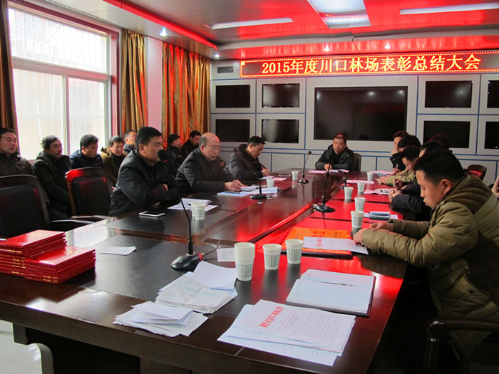 �����ֳ�2015��ȹ����ܽ���ô��