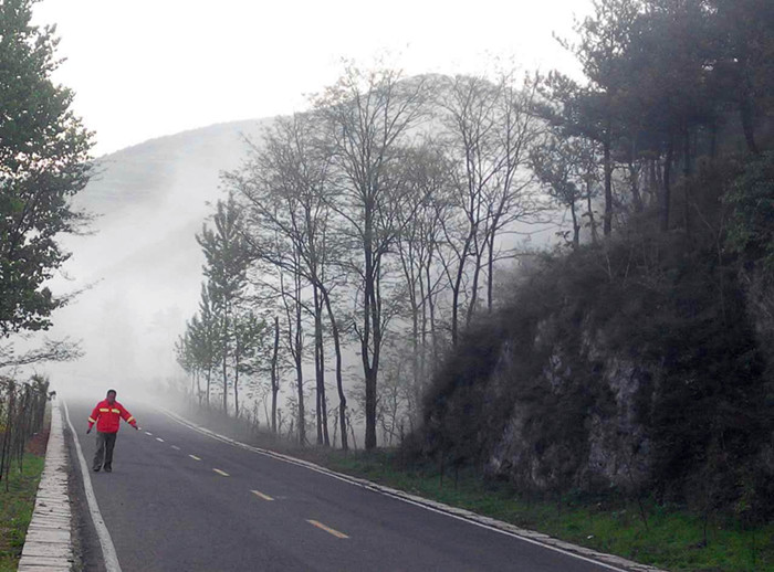 川口林场防治森林病虫害