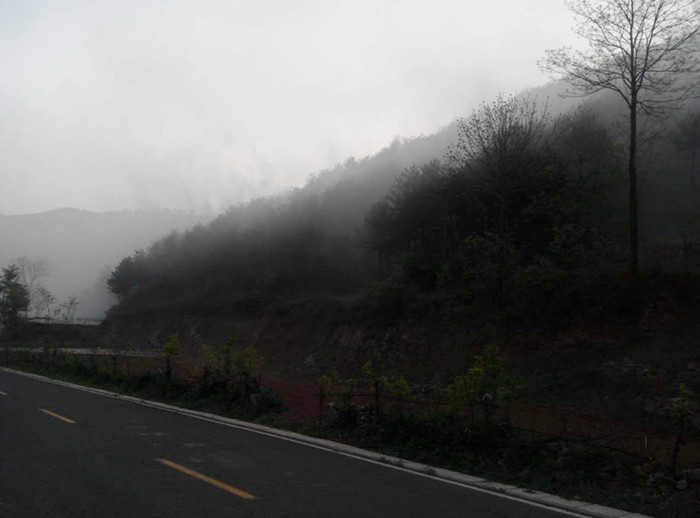 川口林场防治森林病虫害