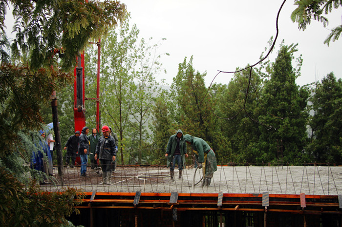 �����ֳ��ɷ�����