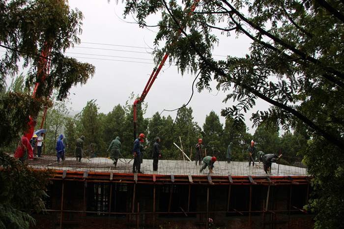 �����ֳ��ɷ�����